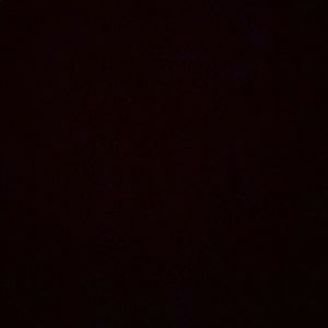 Meet your Posher, Araceli